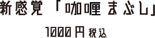 新感覚「咖喱まぶし」